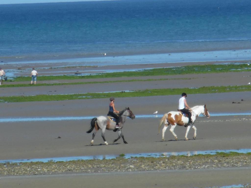 Manoir En Cotentin , Tamerville Dış mekan fotoğraf